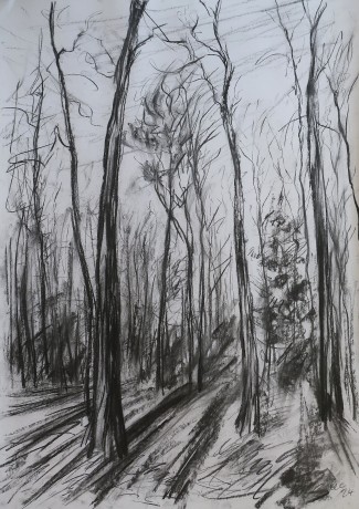Stíny v podzimním lese (84x59 cm)