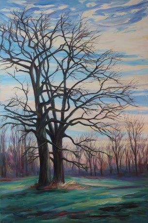 Entwined oak trees (150x100 cm)