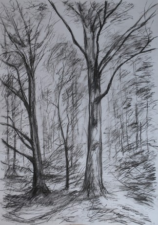 Beech trees in summer (84x59 cm)