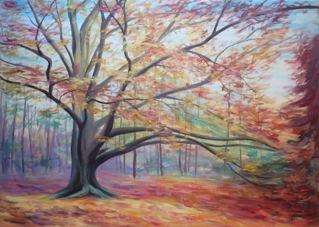 A beech tree dressed in autumn colours (100x140 cm)