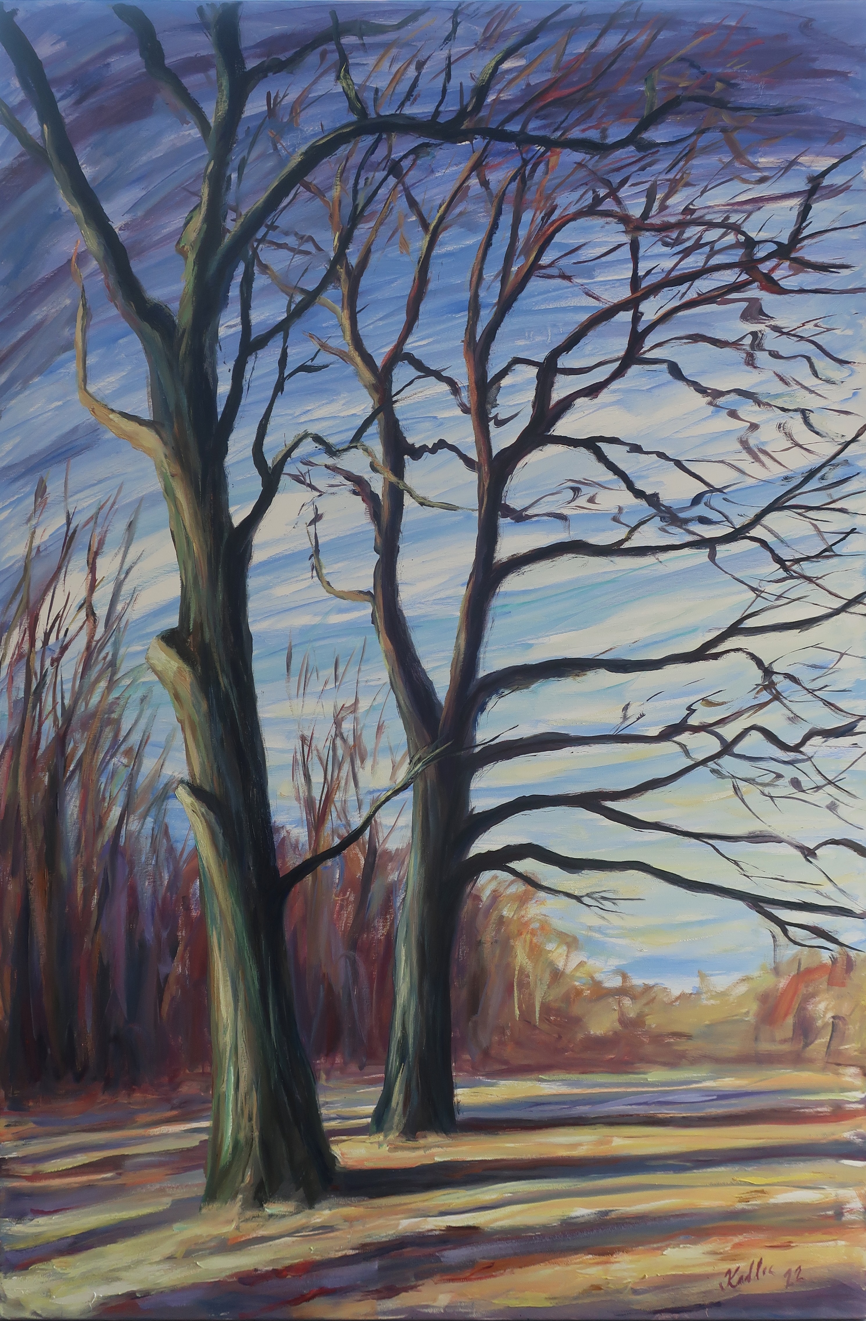 Oaks (150x100 cm)