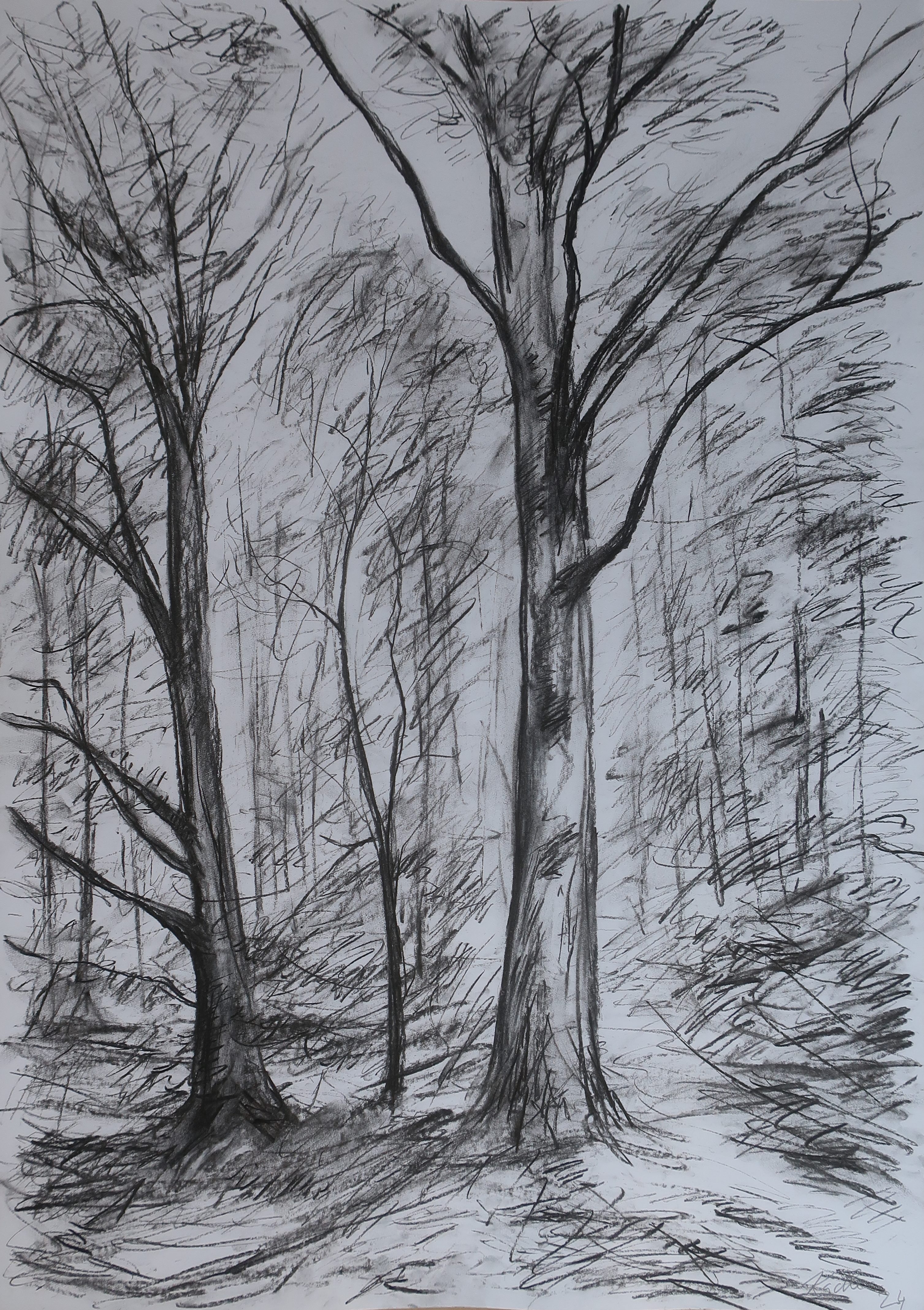 Beech trees in summer (84x59 cm)