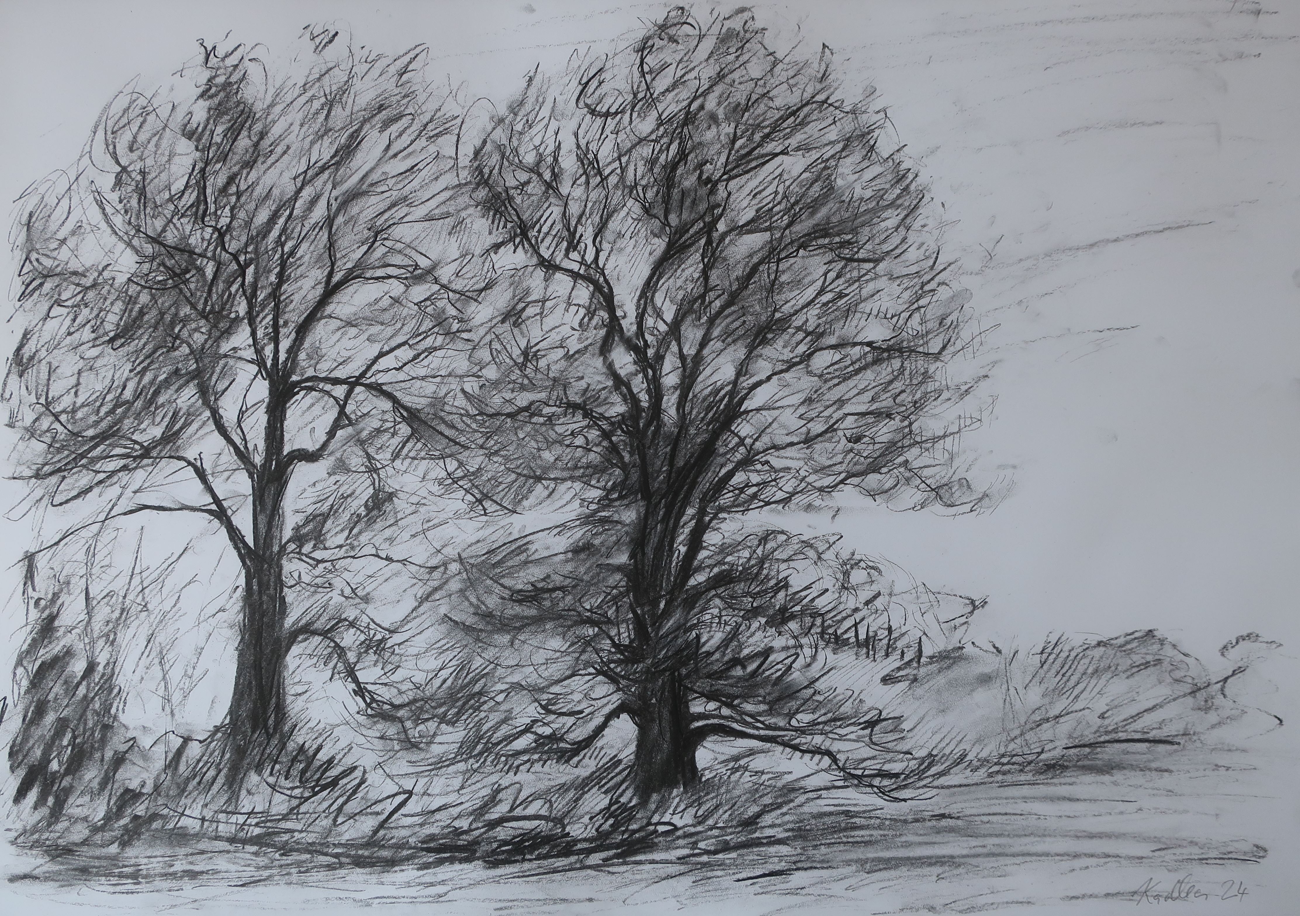 Two oaks (59x84 cm)