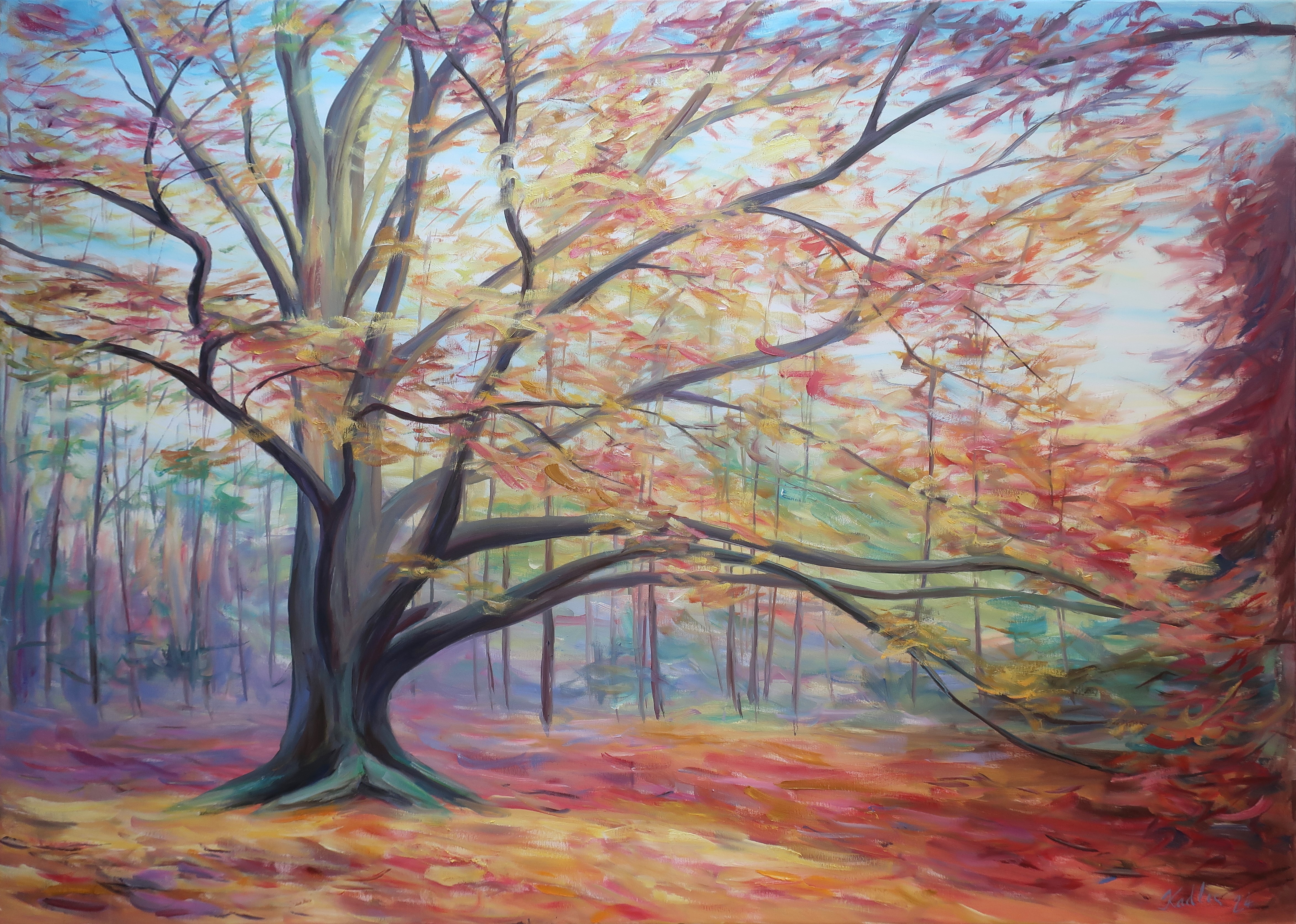 A beech tree dressed in autumn colours (100x140 cm)